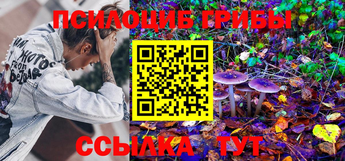 Верхняя Пышма  Галлюциногенные грибы Magic Shrooms  Галлюциногенные грибы мухоморы  хочу   Вход с VPN 