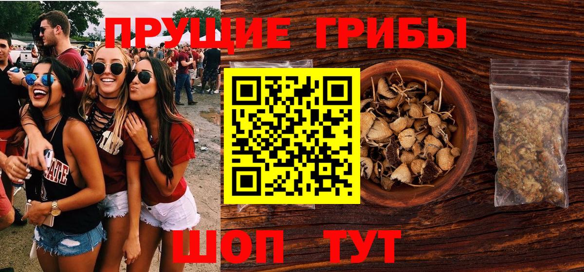 Псилоцибиновые грибы GOLDEN TEACHER Верхняя Пышма